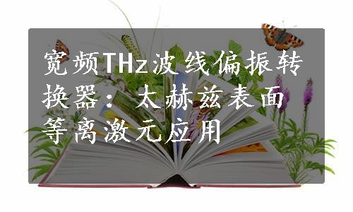 宽频THz波线偏振转换器：太赫兹表面等离激元应用