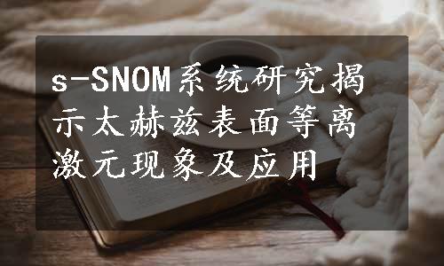 s-SNOM系统研究揭示太赫兹表面等离激元现象及应用