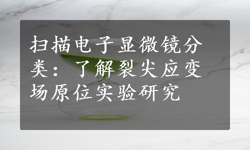 扫描电子显微镜分类：了解裂尖应变场原位实验研究