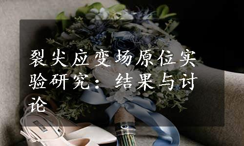 裂尖应变场原位实验研究：结果与讨论