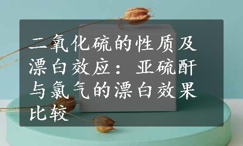 二氧化硫的性质及漂白效应：亚硫酐与氯气的漂白效果比较