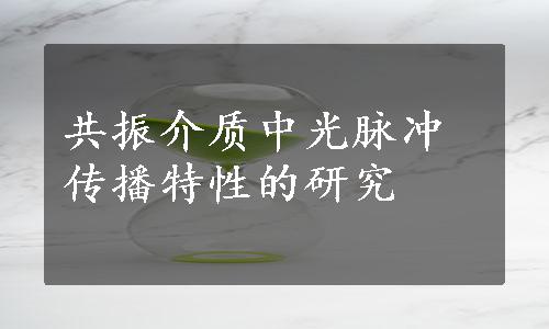 共振介质中光脉冲传播特性的研究