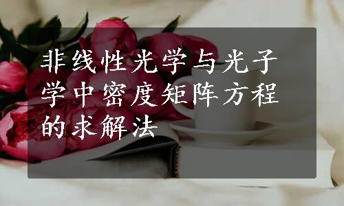 非线性光学与光子学中密度矩阵方程的求解法