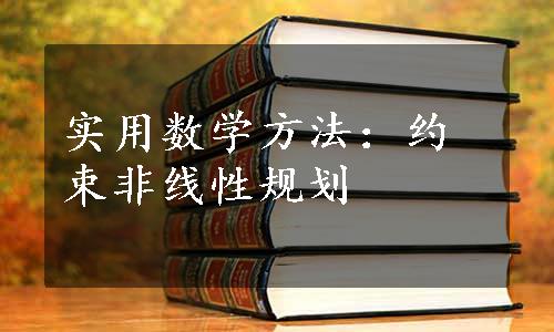 实用数学方法：约束非线性规划