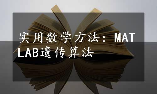 实用数学方法：MATLAB遗传算法