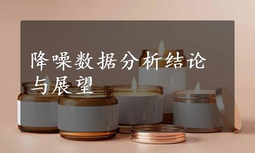 降噪数据分析结论与展望