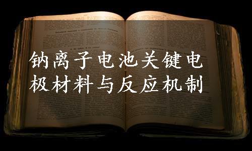 钠离子电池关键电极材料与反应机制