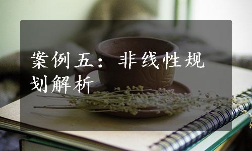 案例五：非线性规划解析