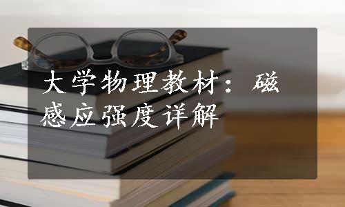 大学物理教材：磁感应强度详解