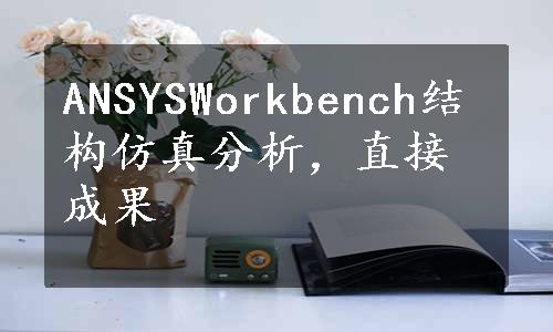 ANSYSWorkbench结构仿真分析，直接成果