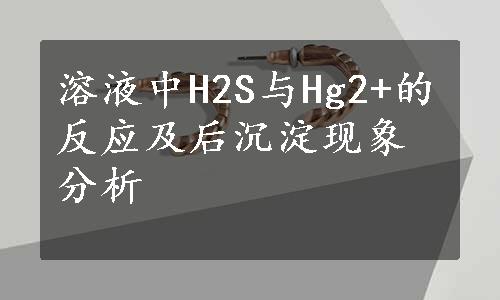 溶液中H2S与Hg2+的反应及后沉淀现象分析