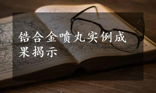 锆合金喷丸实例成果揭示