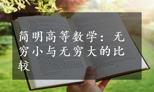 简明高等数学：无穷小与无穷大的比较