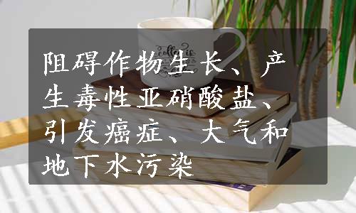 阻碍作物生长、产生毒性亚硝酸盐、引发癌症、大气和地下水污染