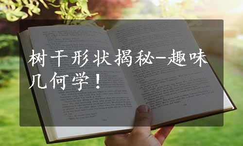 树干形状揭秘-趣味几何学！