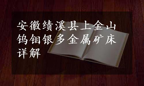 安徽绩溪县上金山钨钼银多金属矿床详解