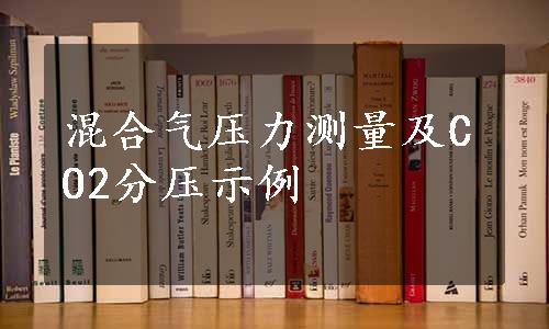 混合气压力测量及CO2分压示例