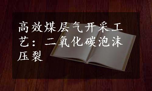 高效煤层气开采工艺：二氧化碳泡沫压裂