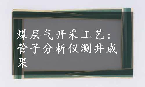 煤层气开采工艺：管子分析仪测井成果