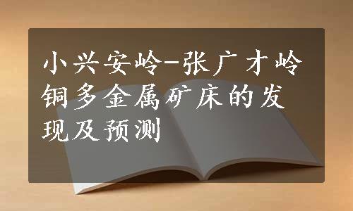 小兴安岭-张广才岭铜多金属矿床的发现及预测