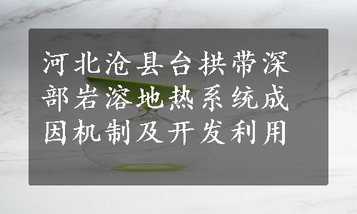 河北沧县台拱带深部岩溶地热系统成因机制及开发利用