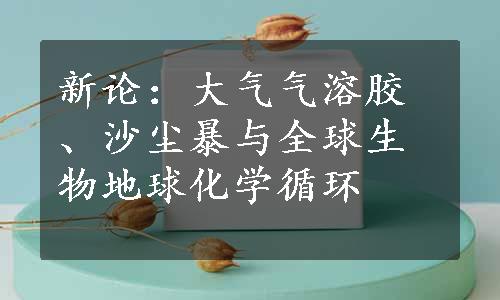 新论：大气气溶胶、沙尘暴与全球生物地球化学循环