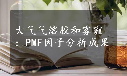 大气气溶胶和雾霾：PMF因子分析成果