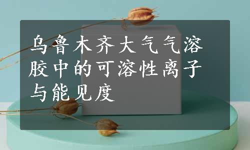 乌鲁木齐大气气溶胶中的可溶性离子与能见度