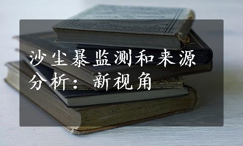 沙尘暴监测和来源分析：新视角