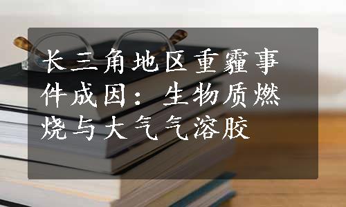 长三角地区重霾事件成因：生物质燃烧与大气气溶胶