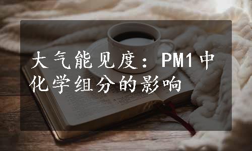 大气能见度：PM1中化学组分的影响