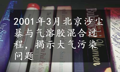 2001年3月北京沙尘暴与气溶胶混合过程，揭示大气污染问题