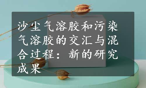 沙尘气溶胶和污染气溶胶的交汇与混合过程：新的研究成果