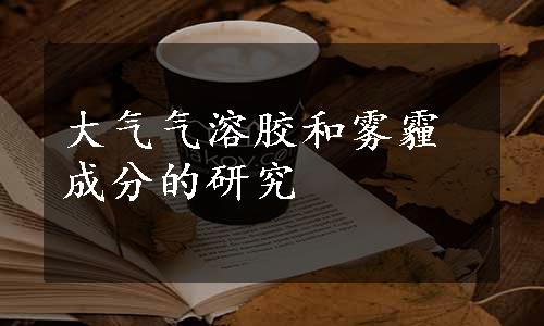 大气气溶胶和雾霾成分的研究