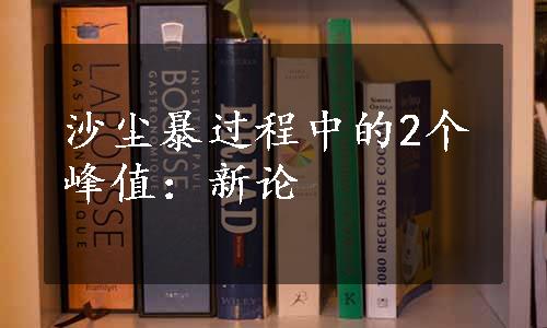 沙尘暴过程中的2个峰值：新论