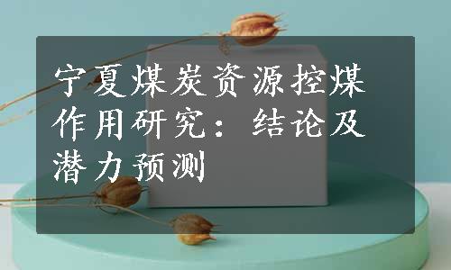 宁夏煤炭资源控煤作用研究：结论及潜力预测