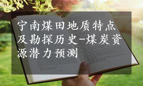 宁南煤田地质特点及勘探历史-煤炭资源潜力预测