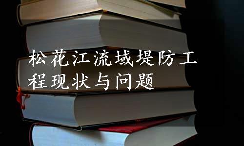 松花江流域堤防工程现状与问题