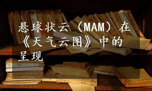 悬球状云（MAM）在《天气云图》中的呈现