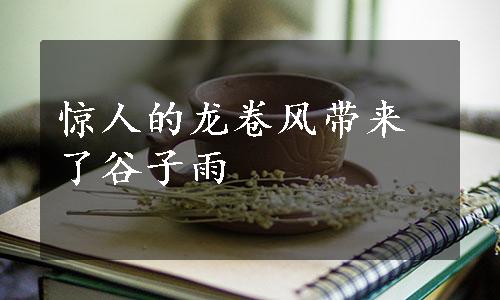 惊人的龙卷风带来了谷子雨