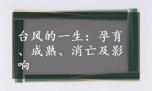 台风的一生：孕育、成熟、消亡及影响