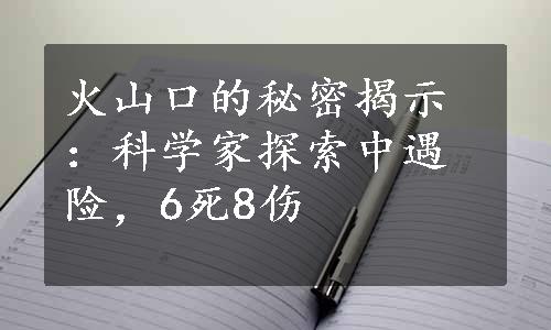 火山口的秘密揭示：科学家探索中遇险，6死8伤