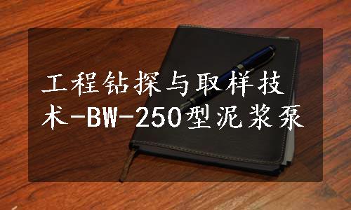 工程钻探与取样技术-BW-250型泥浆泵