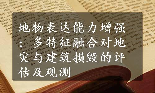 地物表达能力增强：多特征融合对地灾与建筑损毁的评估及观测