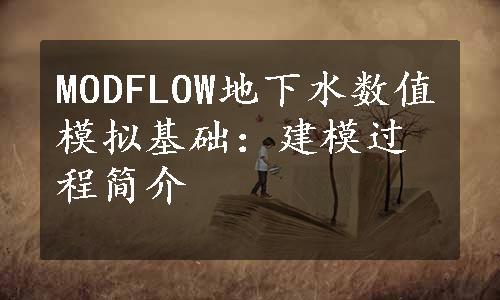 MODFLOW地下水数值模拟基础：建模过程简介