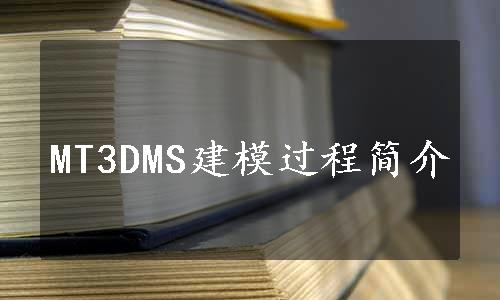 MT3DMS建模过程简介