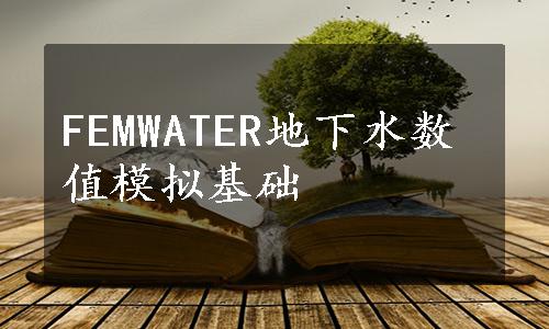 FEMWATER地下水数值模拟基础