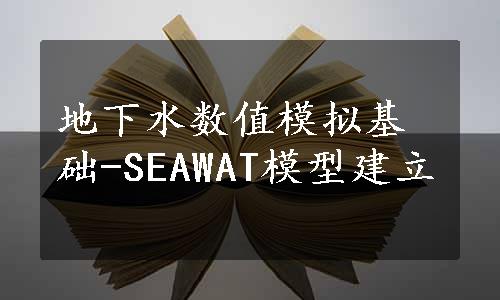 地下水数值模拟基础-SEAWAT模型建立