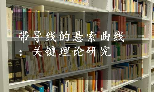 带导线的悬索曲线：关键理论研究