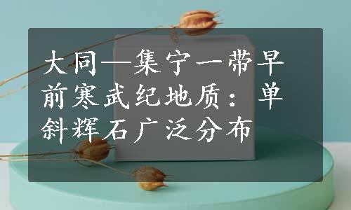 大同—集宁一带早前寒武纪地质：单斜辉石广泛分布